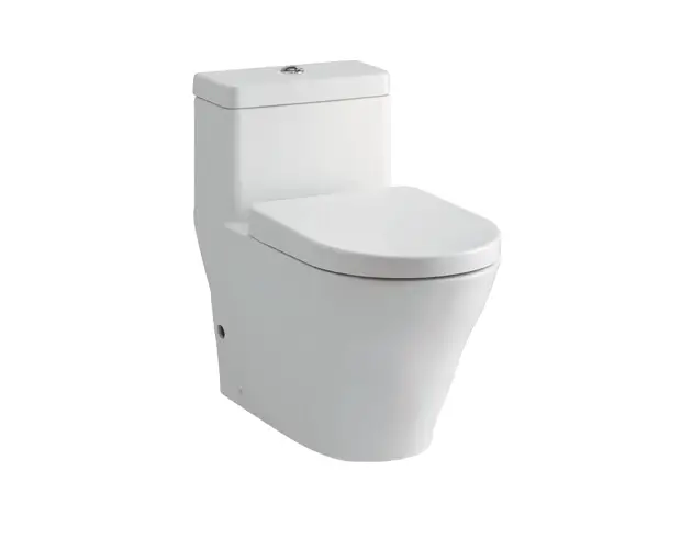 Bàn cầu 1 khối CW166RB/TC384CVK (Nắp đóng êm)